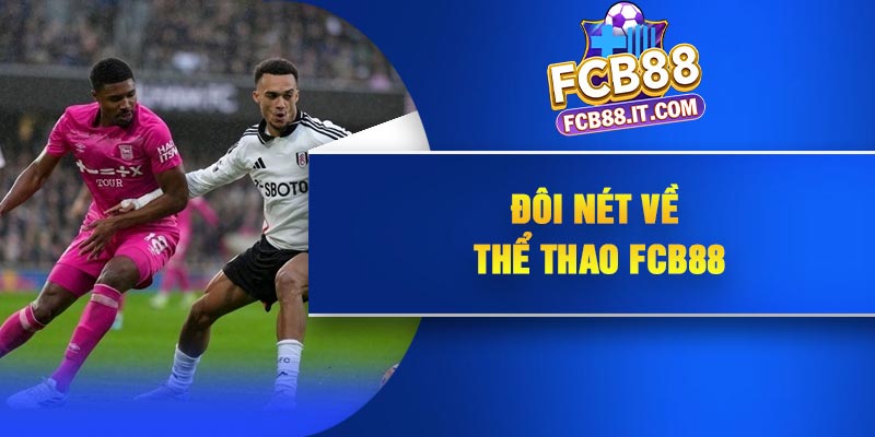 Đôi nét về thể thao FCB88