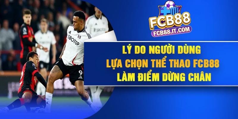 Lý do người dùng lựa chọn thể thao FCB88 làm điểm dừng chân