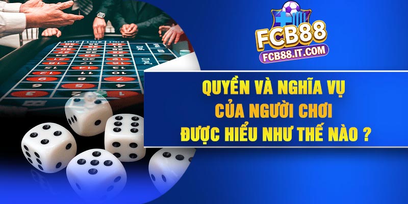 Quyền và nghĩa vụ của người chơi được hiểu như thế nào ?